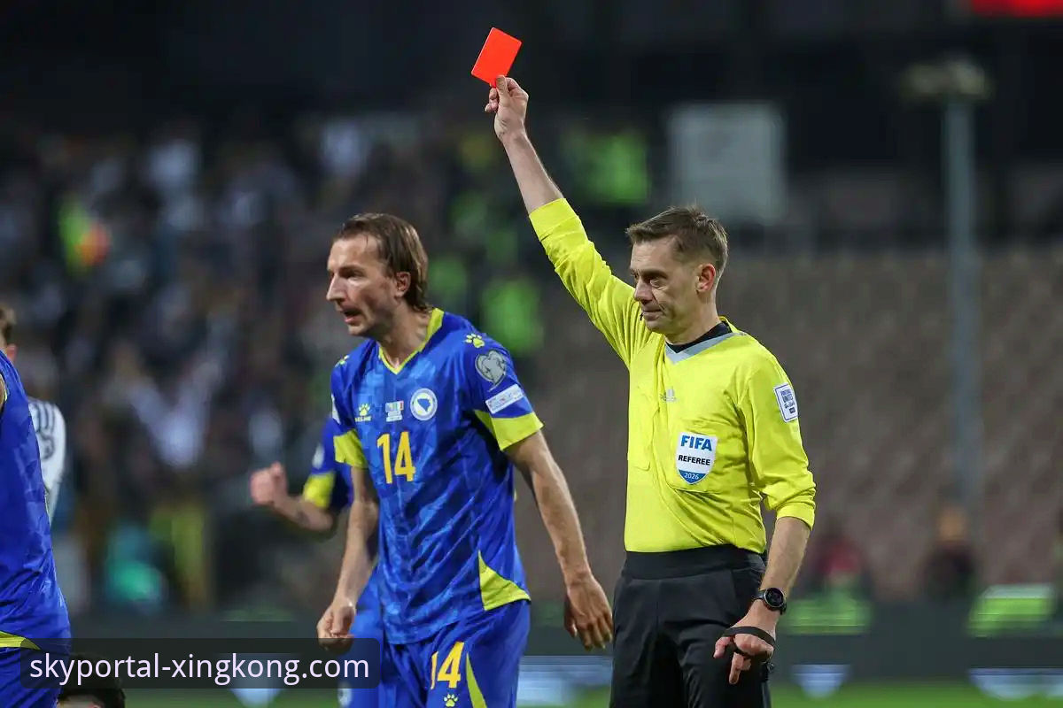 世预赛悲喜夜：波黑点球淘汰意大利，连续三届无缘世界杯观赛指南